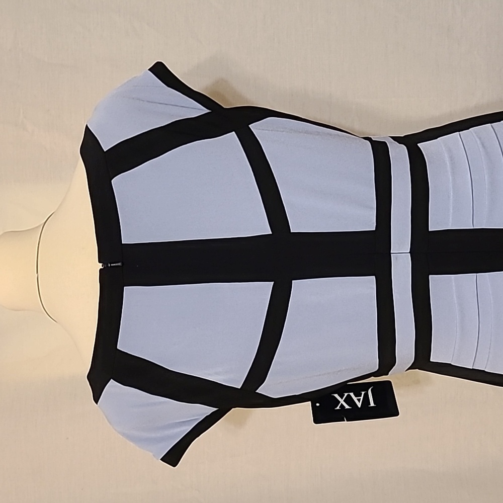 Jax Light Blue and Black Sheath Dress - Picture 9 of 15